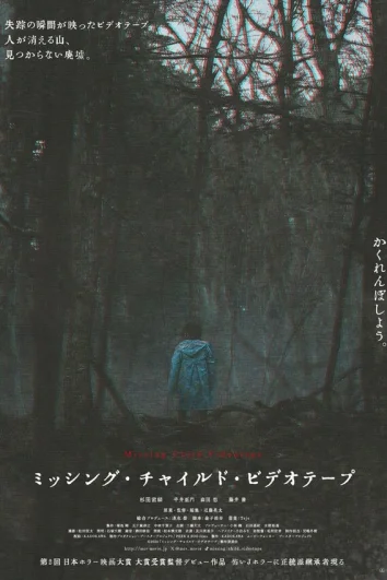 Видеозапись исчезновения ребёнка